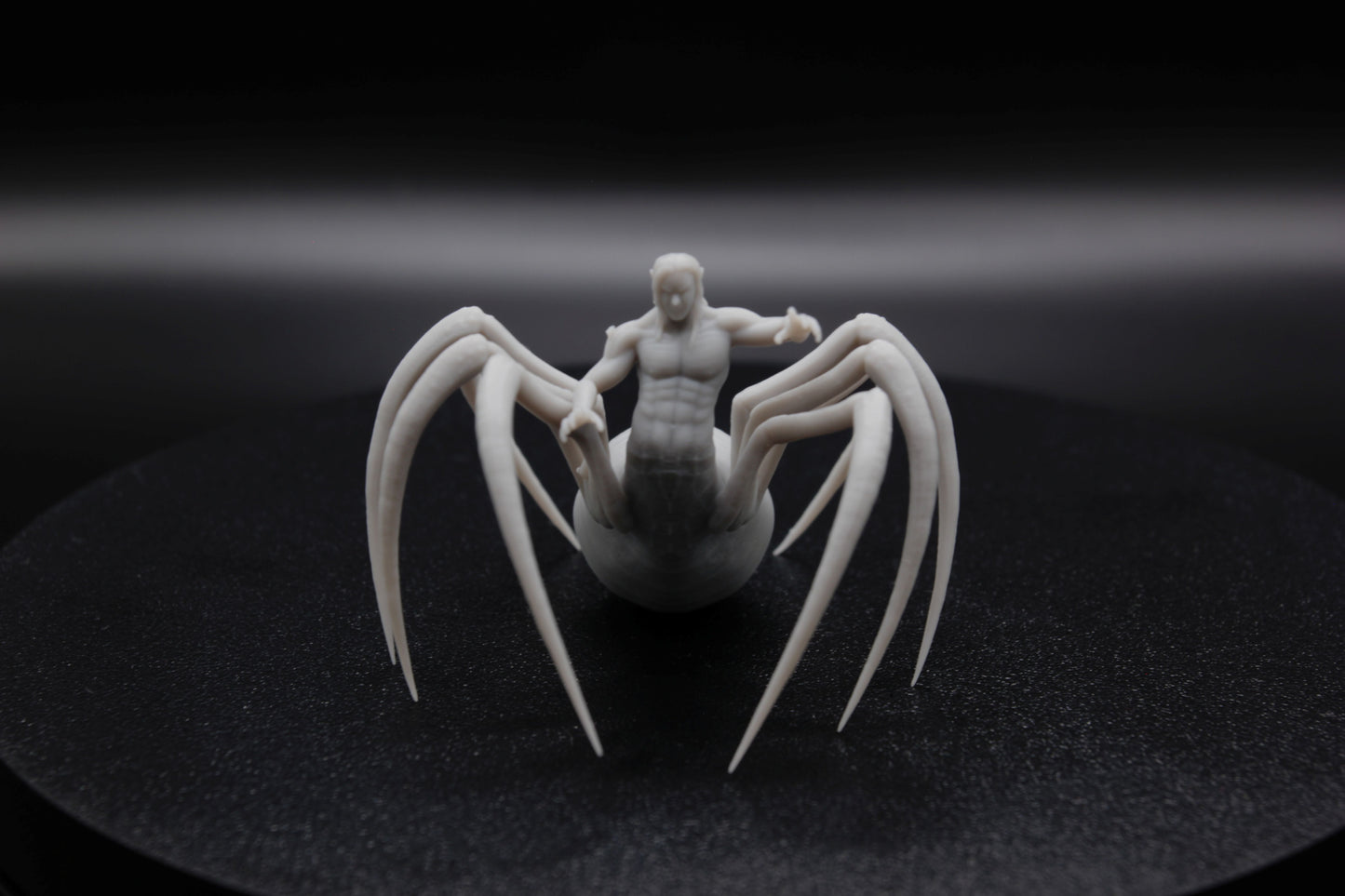 ROI ET REINE ARACHNIDE