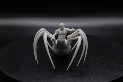 ROI ET REINE ARACHNIDE