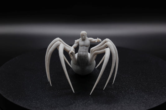 ROI ET REINE ARACHNIDE