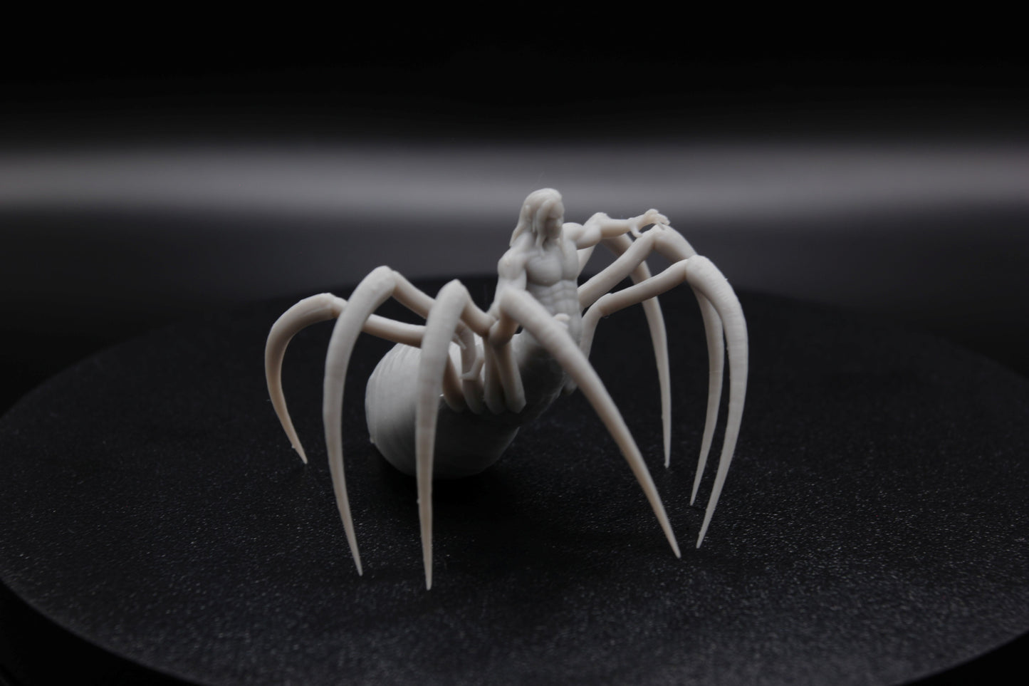 ROI ET REINE ARACHNIDE