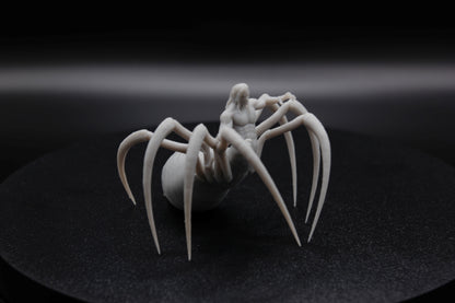 ROI ET REINE ARACHNIDE