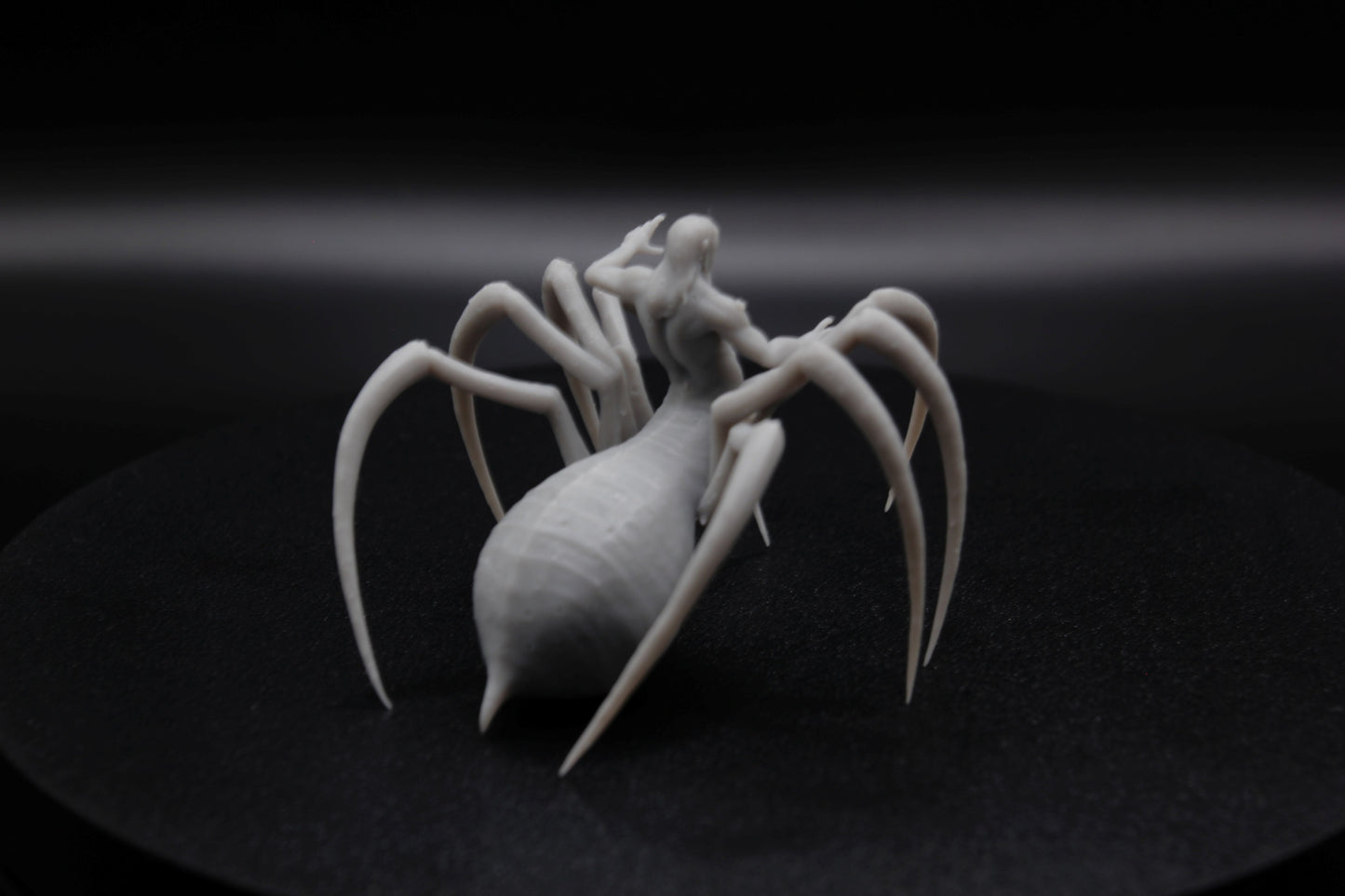 ROI ET REINE ARACHNIDE