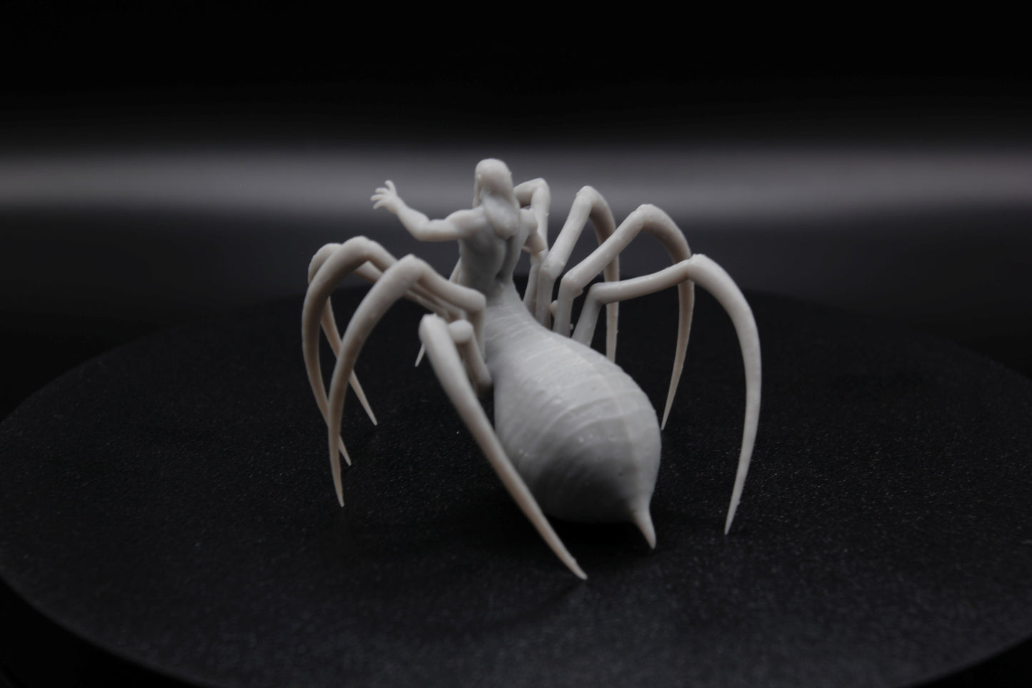 ROI ET REINE ARACHNIDE