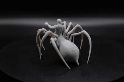 ROI ET REINE ARACHNIDE