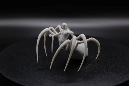 ROI ET REINE ARACHNIDE